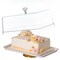 Basicwise Plastic Cake Stand with Clear Flat-Top Cover and Gold Handles Ribbed Serving Tray for Cupcakes Fruits Salads and Desserts Transparent Table Display for Parties and Events